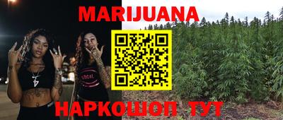 индика Обнинск