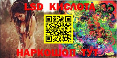 индика Обнинск