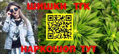 индика Обнинск