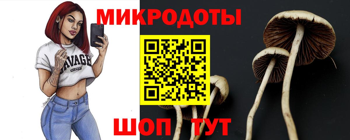Псилоцибиновые грибы GOLDEN TEACHER Рыбинск